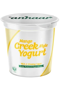 Greek Style Yogurt Mango
