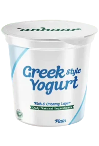 Greek Style Yogurt Plain